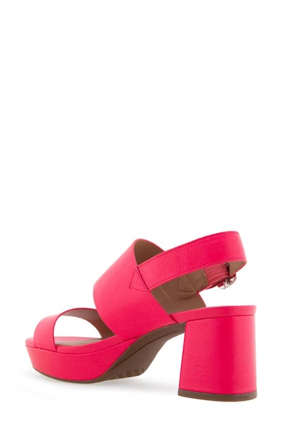 Shop Aerosoles Camera Platform Sandal In Virtual Pink Leather