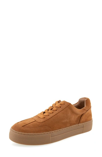 Shop Aerosoles Bramston Sneaker In Tan Sport Suede