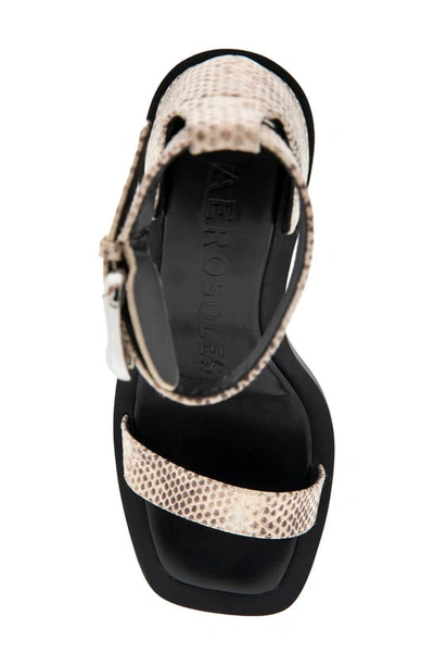 Shop Aerosoles Calico Ankle Strap Sandal In Roccia Snake Print Leather