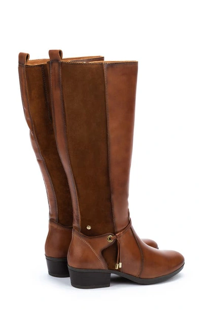 Shop Pikolinos Daroca Knee High Riding Boot In Cuero