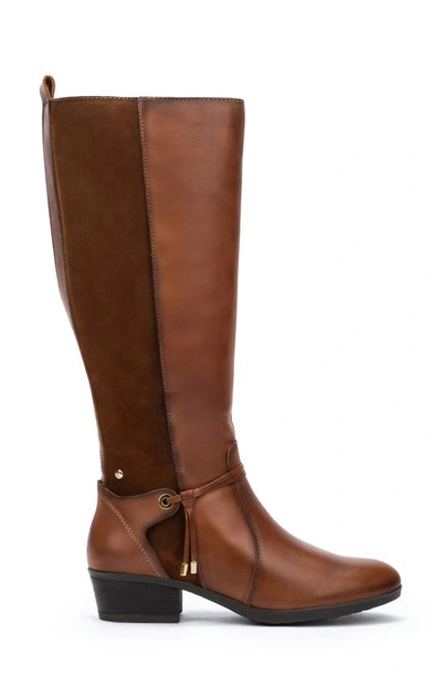 Pikolinos Daroca Knee High Riding Boot In Cuero