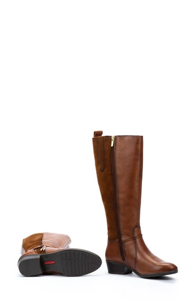 Pikolinos Daroca Knee High Riding Boot In Cuero