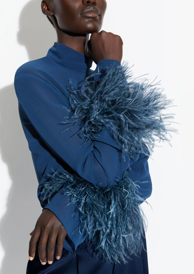 Lapointe Georgette Top With Feathers In 12