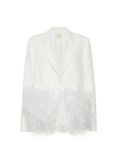 Lapointe Matte Crepe Feather Embroidery Relaxed Blazer