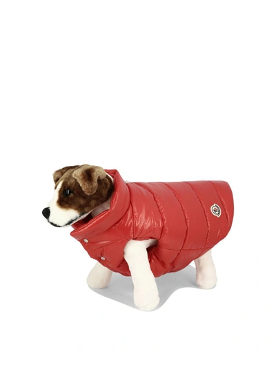 Shop Moncler Genius "moncler X Poldo Dog Couture" Dog Vest In Red