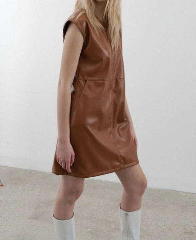 Shop Melissa Nepton Cassi Dress In Cinnamon In Brown