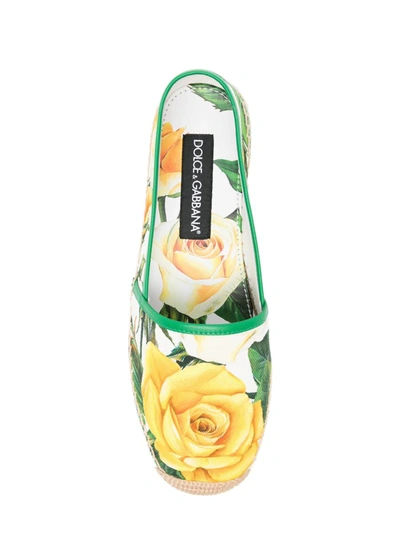 Shop Dolce & Gabbana Flat Shoes In Rose Gialle