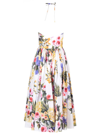 Shop Dolce & Gabbana Garden Print Cotton Poplin Dress In Multicolor