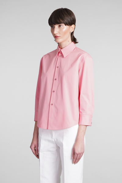 Shop Jil Sander Shirt In Rose-pink Cotton