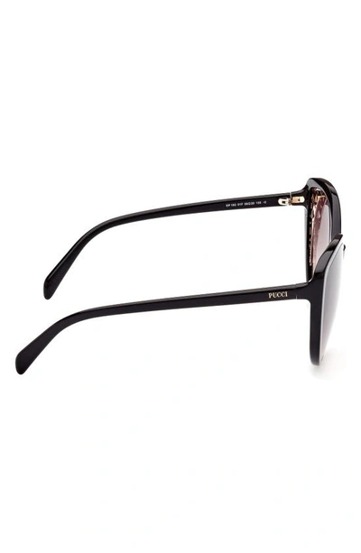 Shop Emilio Pucci 58mm Gradient Cat Eye Sunglasses In Shiny Black / Gradient Brown