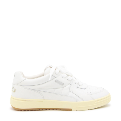 Shop Palm Angels White Leather University Sneakers