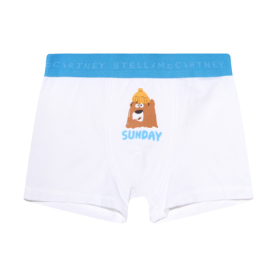 Shop Stella Mccartney Colorful Cotton Boxers In Colourful