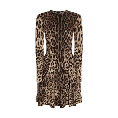 Shop Dolce & Gabbana Brown And Black Dress In Leopard