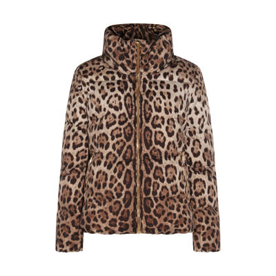 Shop Dolce & Gabbana Beige And Black Down Jacket In Leopard
