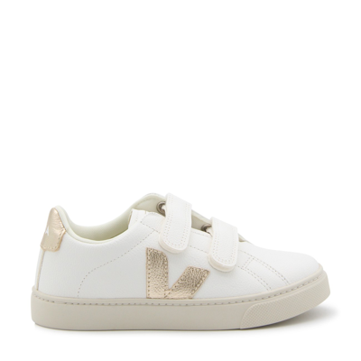 Shop Veja Extra White And Platine Leather Esplar Sneakers In Extra White/platine