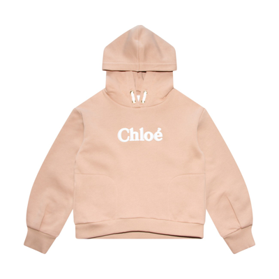 Shop Chloé Dark Beige Cotton Sweatshirt In Stone