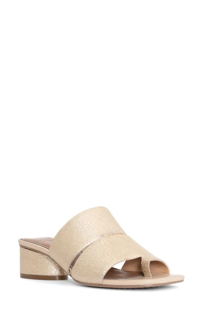 Shop Donald Pliner Maiden Mule In Platino