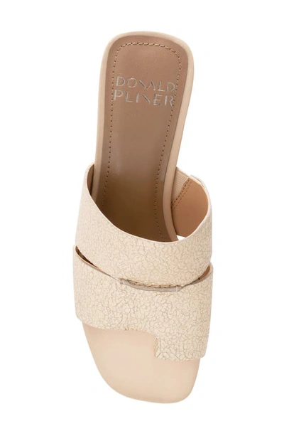 Shop Donald Pliner Maiden Mule In Platino