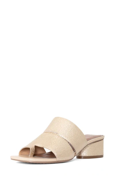 Shop Donald Pliner Maiden Mule In Platino