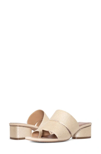 Shop Donald Pliner Maiden Mule In Platino