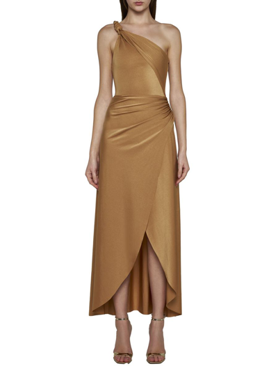 Shop Maygel Coronel Dresses In Champagne