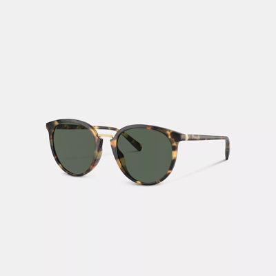 Shop Coach Hangtag Round Sunglasses In Green