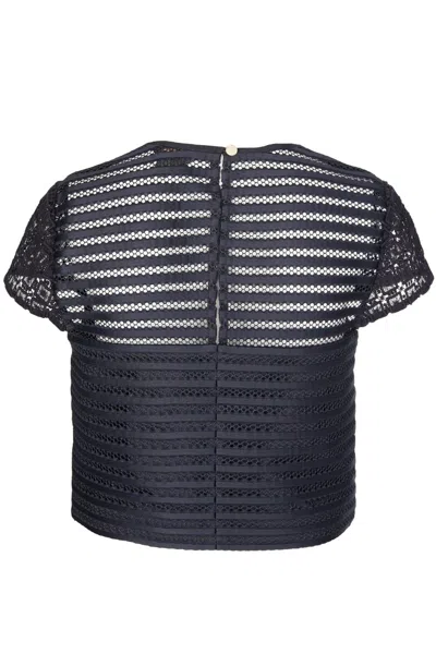 Ted Baker Lace Panelled Black Top In Navy