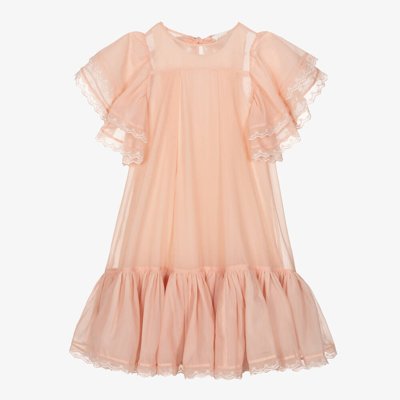 Shop Petite Amalie Teen Girls Pink Organza Dress