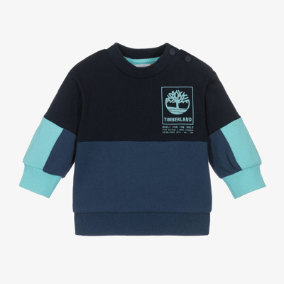 Shop Timberland Boys Blue Colourblock Cotton Sweatshirt