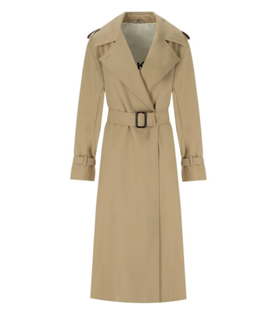Shop Max Mara Giostra Beige Trench Coat In Brown