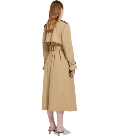 Shop Max Mara Giostra Beige Trench Coat In Brown