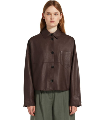 Shop Max Mara Vortice Brown Shirt Jacket In Black