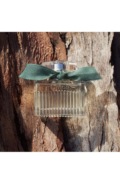 Chloé Rose Naturelle Intense Eau De Parfum In Regular