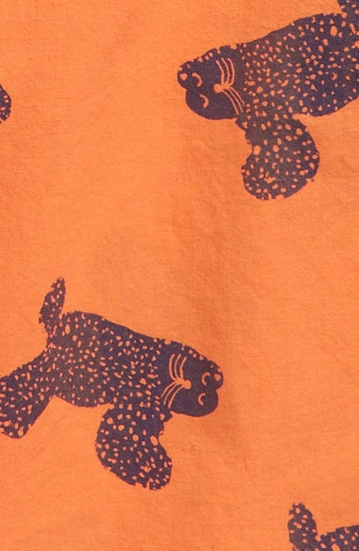 Shop Bobo Choses Kids' Big Cat Print Short Sleeve Cotton Button-up Shirt In Orange