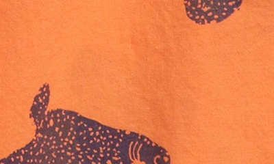 Shop Bobo Choses Kids' Big Cat Print Short Sleeve Cotton Button-up Shirt In Orange
