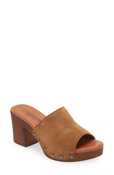 Shop Cordani Whitley Block Heel Sandal In Crosta Clove