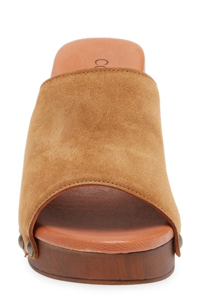 Cordani Whitley Block Heel Sandal In Crosta Clove
