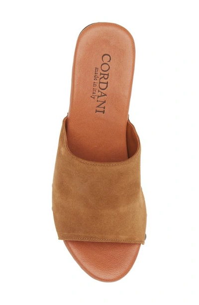 Cordani Whitley Block Heel Sandal In Crosta Clove