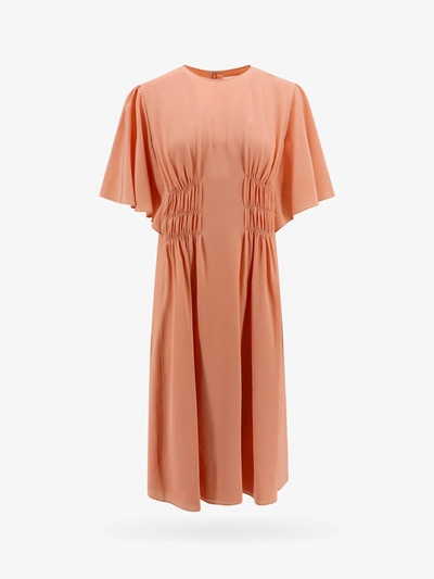 Shop Chloé Dress In Pink