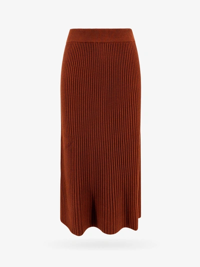 Shop Loro Piana Skirt In Brown