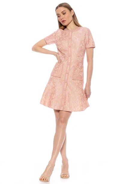 Shop Alexia Admor Brecken Lace Dress In Pink