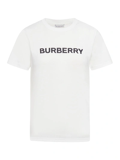 Shop Burberry Margot Brn W Jerseywear In White