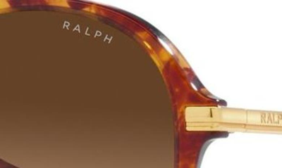 Shop Ralph 54mm Gradient Round Sunglasses In Havana