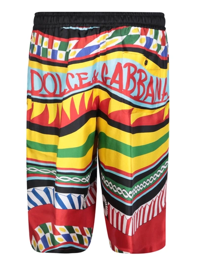 Shop Dolce & Gabbana Pants In Multi