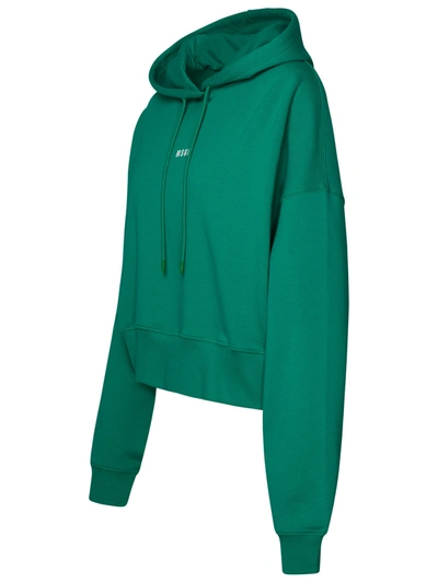 Shop Msgm Green Cotton Sweatshirt