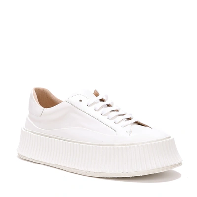 Shop Jil Sander Sneakers In Neve