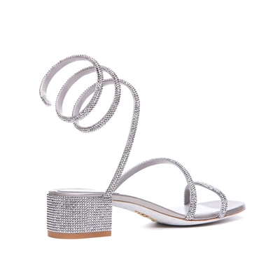 Shop René Caovilla Sandals In Silver