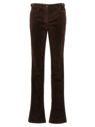 Shop Dolce & Gabbana Ribbed Velvet Pants In Brown