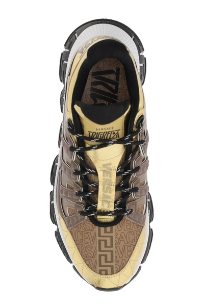 Shop Versace Sneakers In Gold/brown/beige