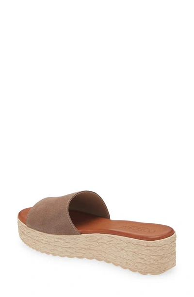 Shop Cordani Bizzy Espadrille Platform Wedge Slide Sandal In Taupe Suede